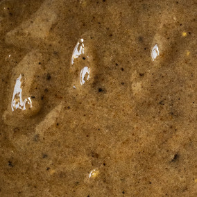 002389L : Saveur Truffes