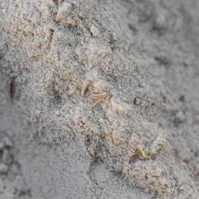 MIX COMPLET SAVEUR SAVOYARDE