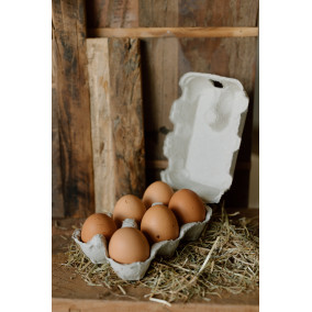 Boîtes à oeufs